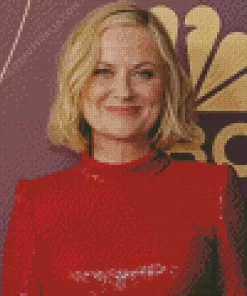 Amy Poehler American Actress Diamond Painting