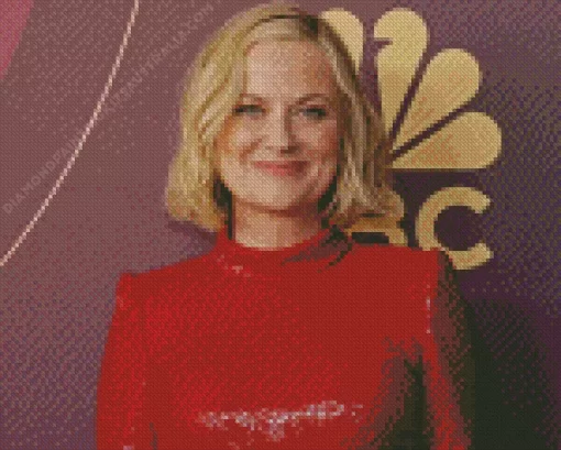 Amy Poehler American Actress Diamond Painting