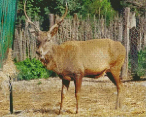 Barbary Stag Diamond Painting