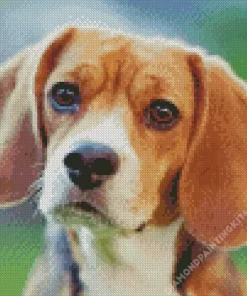 Beagle Hound Dog Diamond Painting