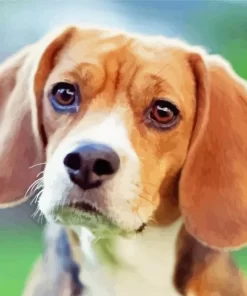 Beagle Hound Dog Diamond Painting