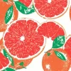 Blood Orange Illustration Diamond Painting