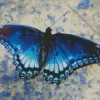 Blue And Black Butterfly Diamond Painting