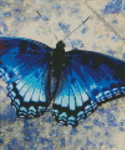 Blue And Black Butterfly Diamond Painting