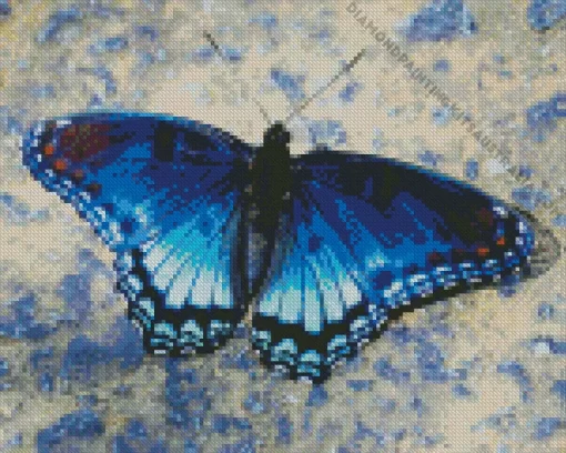 Blue And Black Butterfly Diamond Painting