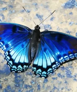 Blue And Black Butterfly Diamond Painting