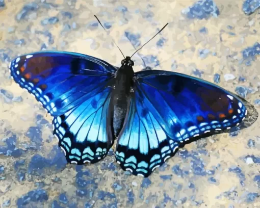 Blue And Black Butterfly Diamond Painting