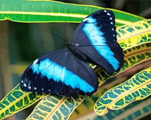 Blue And Black Butterfly On Leaf Diamond Painting