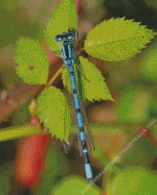 Blue And Black Dragonfly Diamond Painting