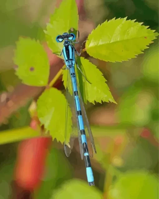 Blue And Black Dragonfly Diamond Painting