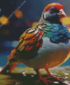 Colorful Partridge Diamond Painting