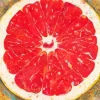 Half Blood Orange Diamond Painting