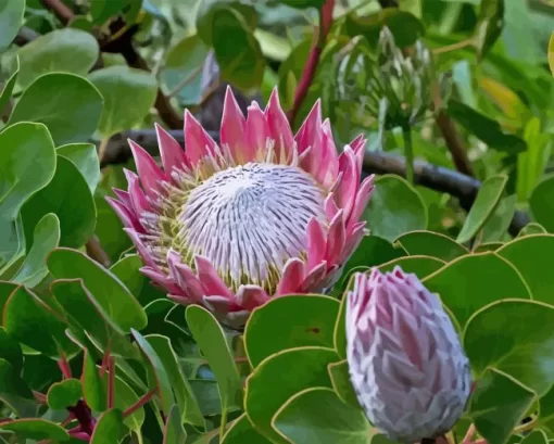 King Protea Plant Diamond Painting