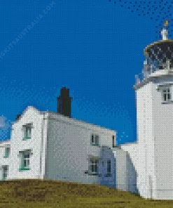 Lizard Lighthouse Diamond Painting