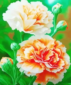 Orange And White Blooming Carnation Diamond Painting