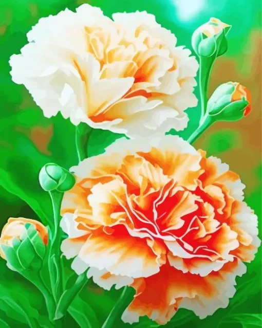 Orange And White Blooming Carnation Diamond Painting