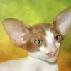 Oriental Cat Diamond Painting