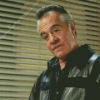 Paulie Walnuts Character Diamond Painting