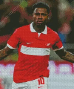 Quincy Promes Footballer Diamond Painting