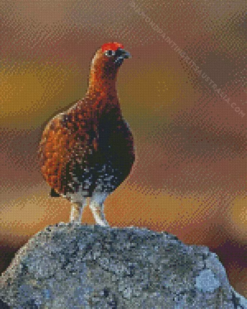 Red Grouse Diamond Painting