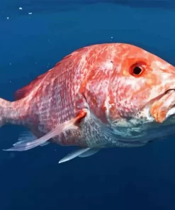 Snapper Fish Underwater Diamond Painting