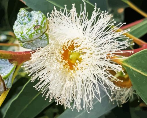 Tasmanian Blue Gum Diamond Painting