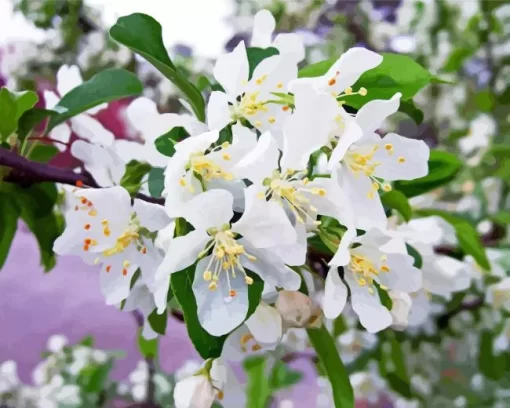 White Crabapple Flowers Diamond Painting