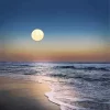 Beach With Moon Diamond Painting