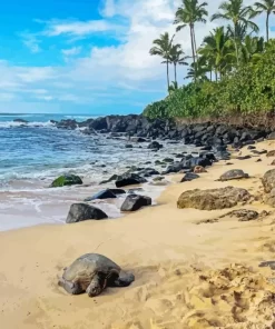 Beach With Turtle Diamond Painting