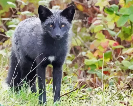 Black Fox Diamond Painting