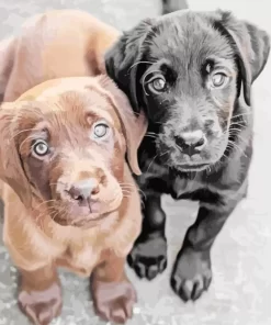 Black Vs Chocolate Labs Diamond Painting