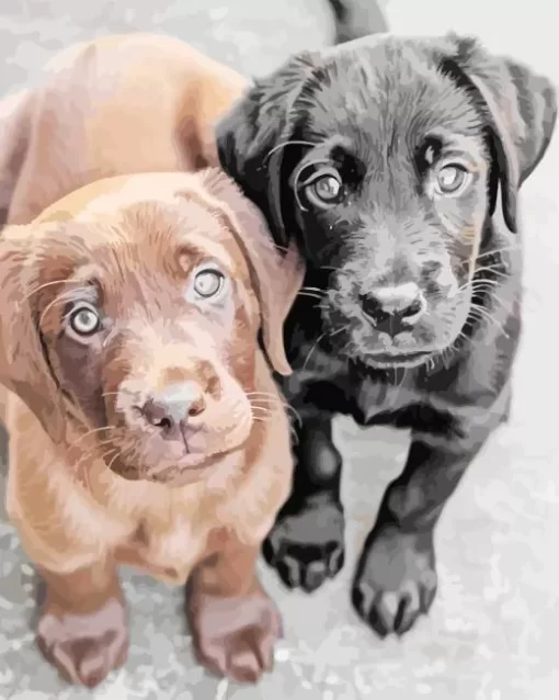 Black Vs Chocolate Labs Diamond Painting