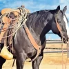 Black Western Horse Diamond Painting