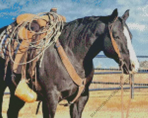 Black Western Horse Diamond Painting