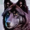 Black Wolf Head Diamond Painting