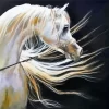 Blond Arabian Horse Diamond Painting