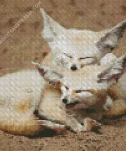 Blond Foxes Diamond Painting