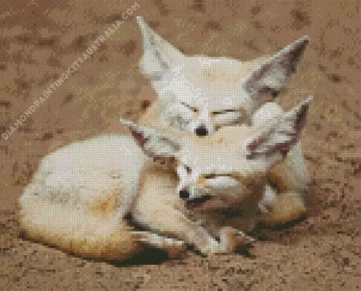 Blond Foxes Diamond Painting