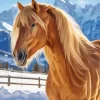 Blond Hair Horse Diamond Painting