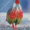 Blood Pheasant Bird Diamond Painting