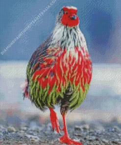 Blood Pheasant Bird Diamond Painting