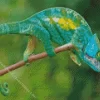 Blue And Green Chameleon Diamond Painting