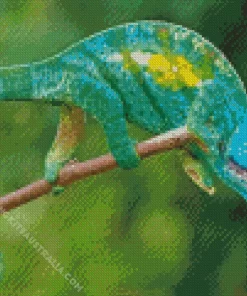 Blue And Green Chameleon Diamond Painting