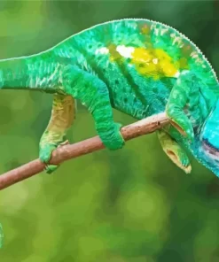 Blue And Green Chameleon Diamond Painting