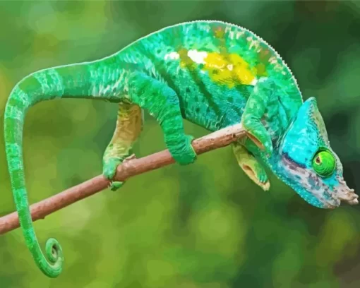 Blue And Green Chameleon Diamond Painting