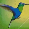 Blue And Green Hummingbird Diamond Painting