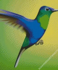 Blue And Green Hummingbird Diamond Painting