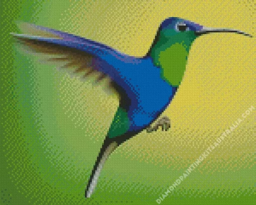 Blue And Green Hummingbird Diamond Painting