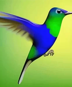 Blue And Green Hummingbird Diamond Painting