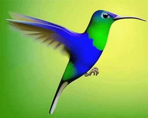 Blue And Green Hummingbird Diamond Painting